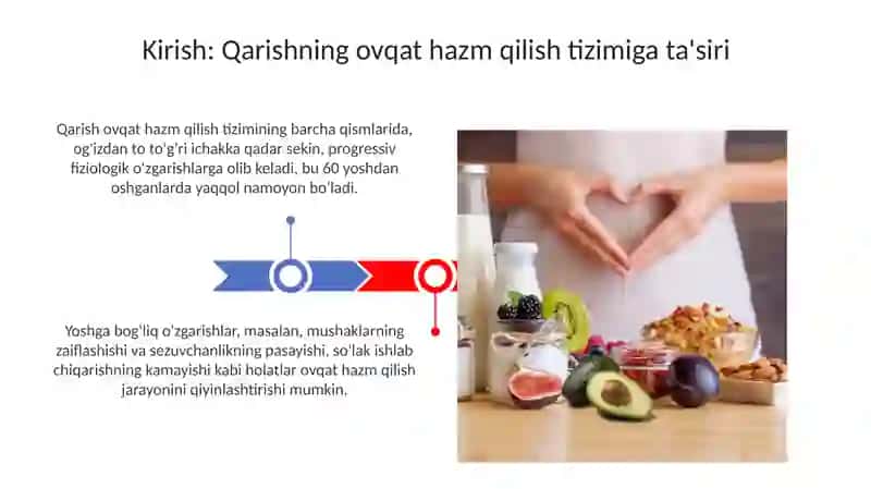 Qarishning ovqat hazm qilish tizimi 3