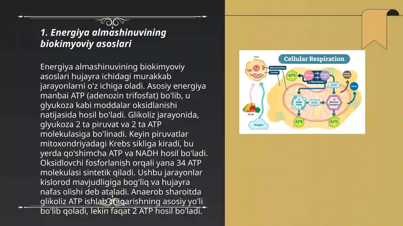 Energiya almashinuvining biokimyoviy asoslari 3
