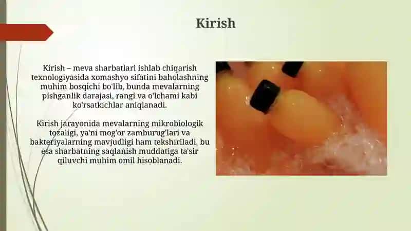 Shaftoli sharbati ishlab chiqarish texnologiyasi 3
