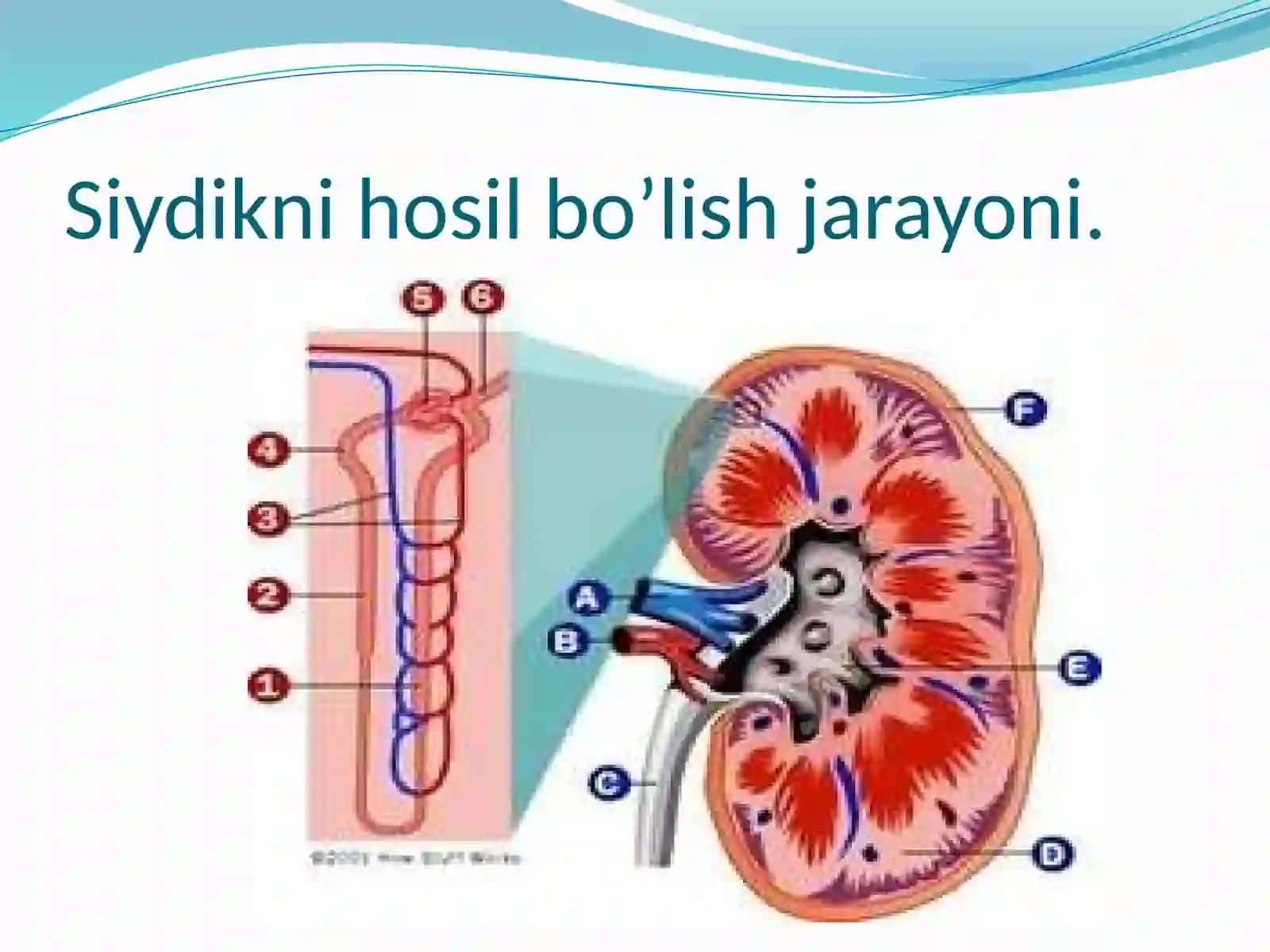 Siydik 3