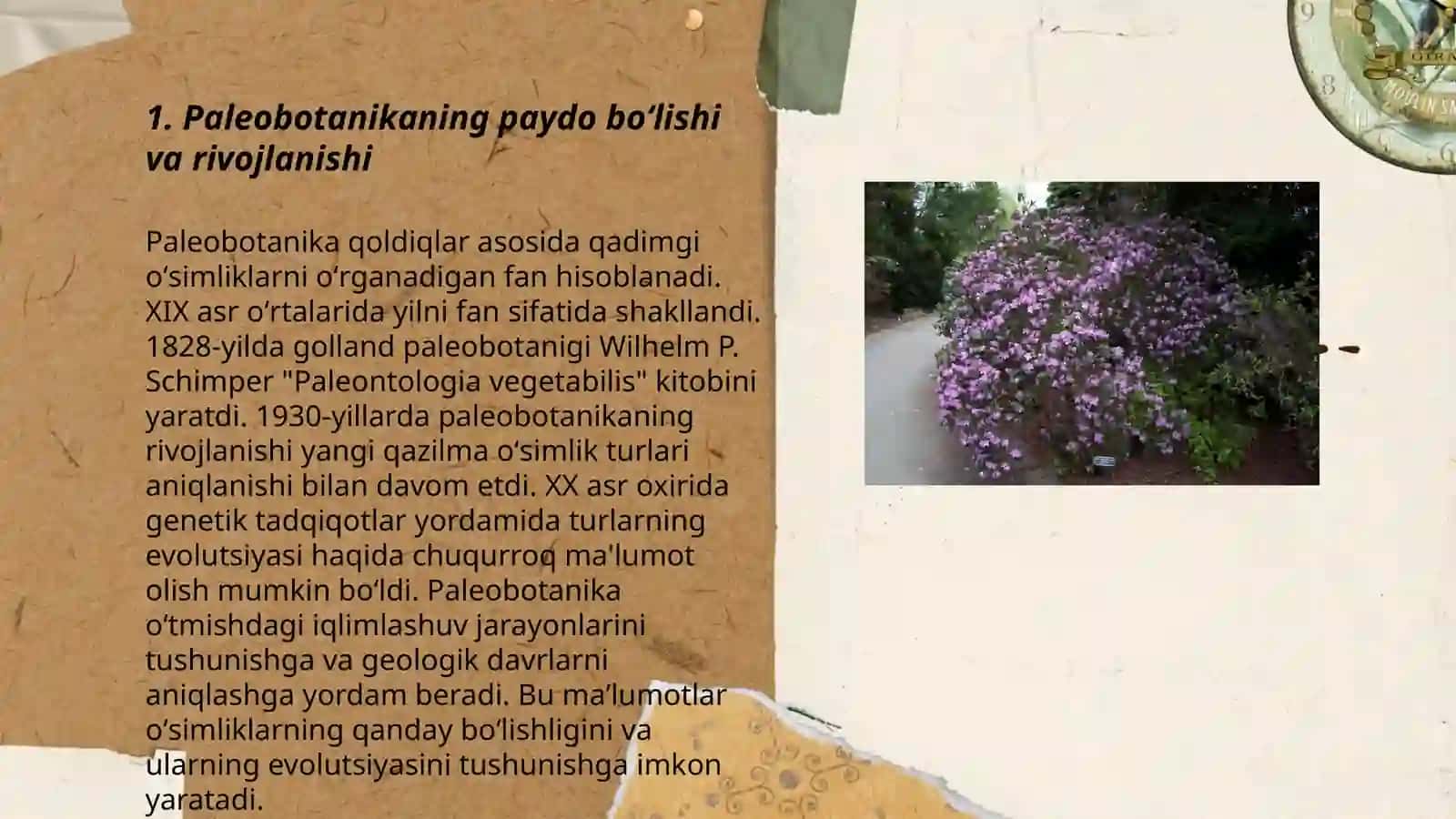 Paleobotanika 3