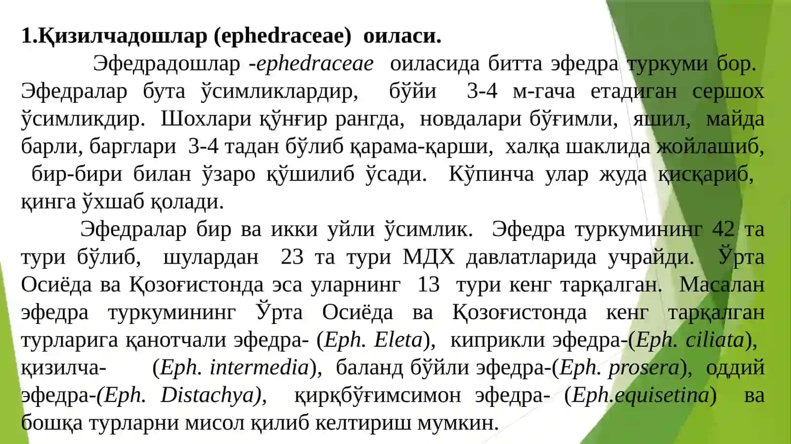 Эфедрадошлар (Ephedraceae) оиласи 3
