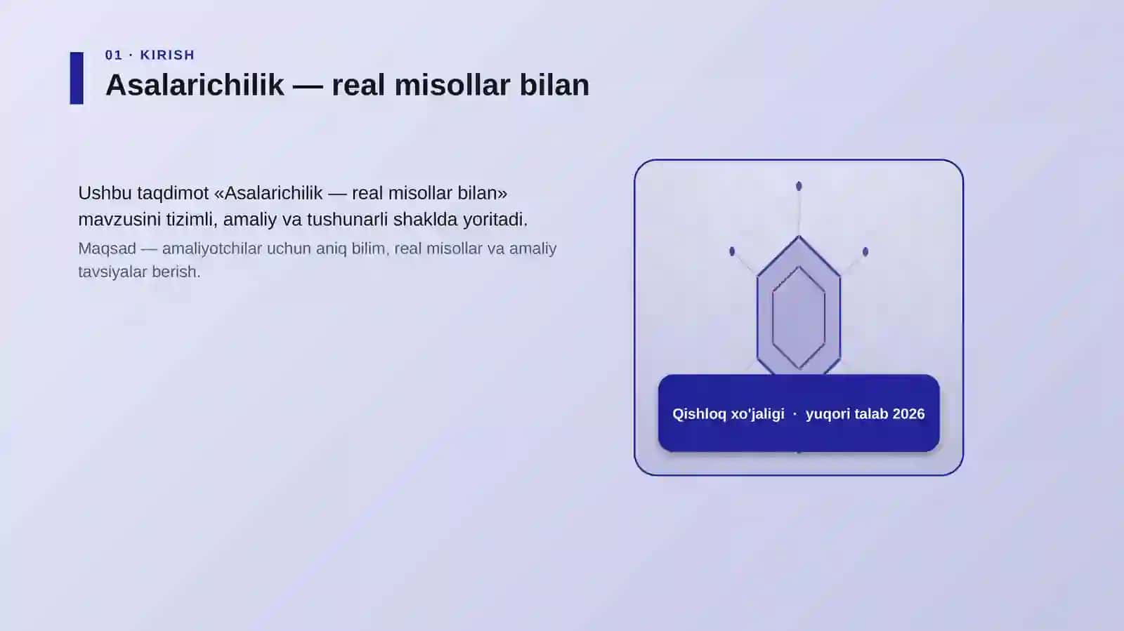 Asalarichilik — real misollar bilan 3