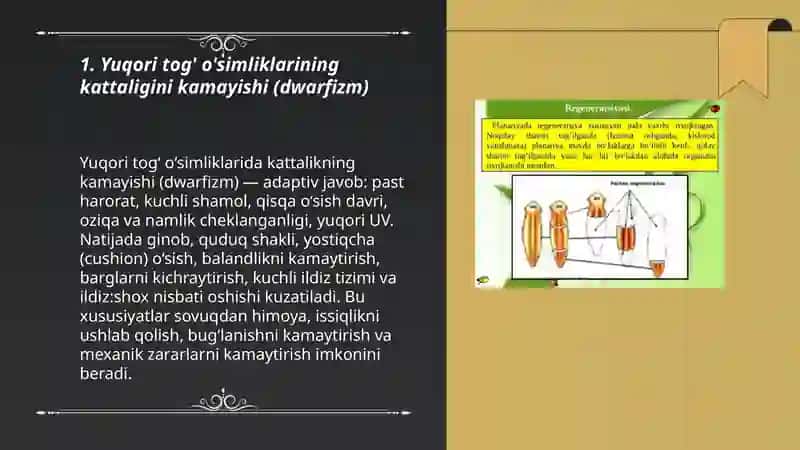 Yuqori Togʼ oʼsimliklarining xos xususiyati 3