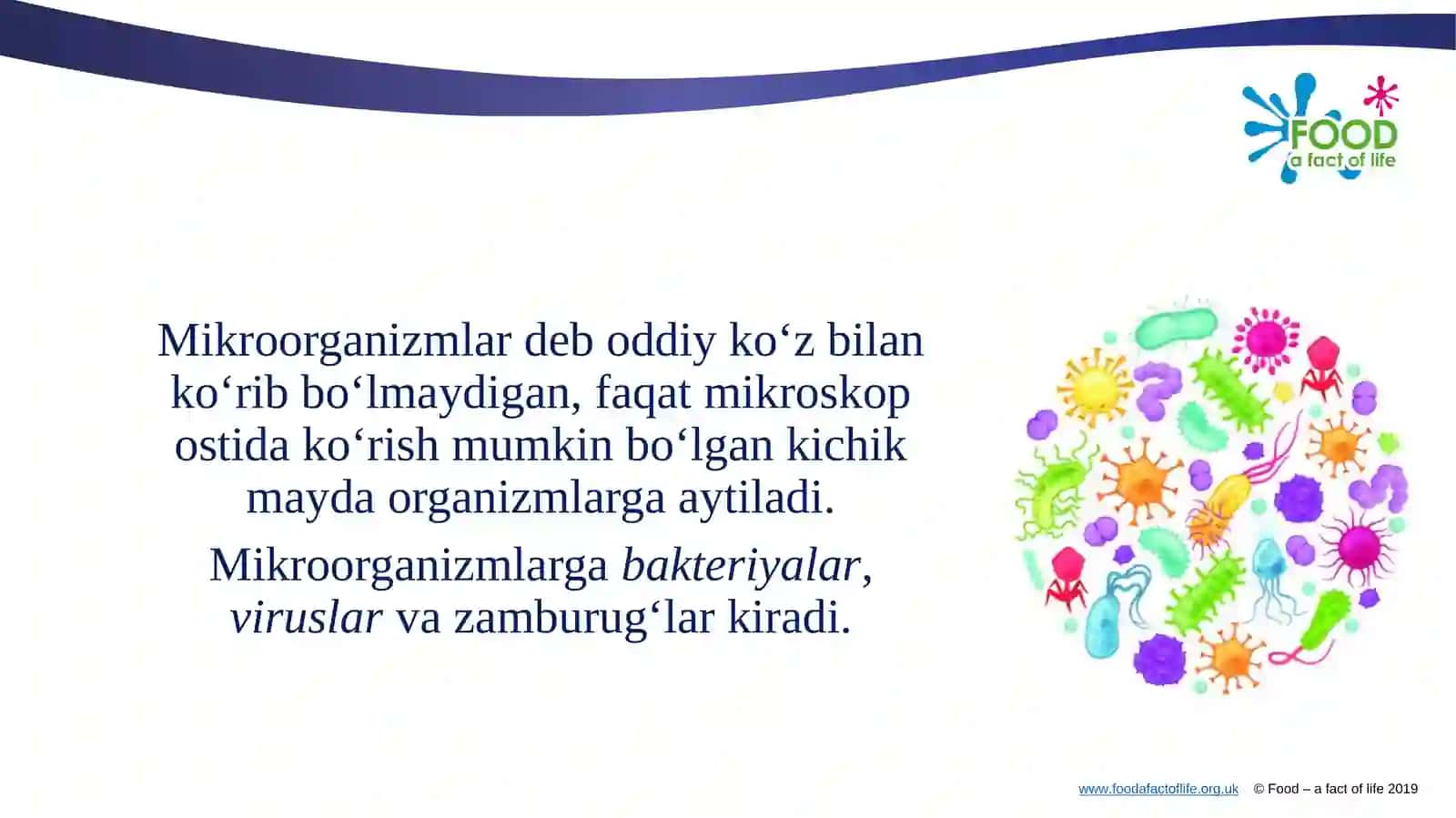 Mikroorganizmlar biosintezi 3