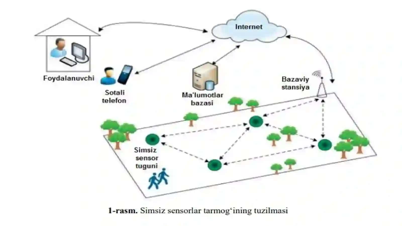 Simsiz sensor tarmoqlari 3