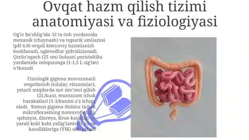 Ovqat hazm qilish sistemasining fiziologiyasi va gigiyenasi 3