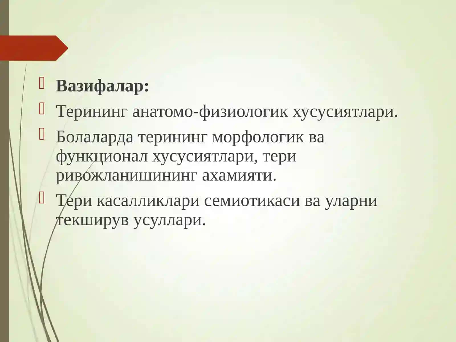 Тери ва тери ости ёғ тўқимаси 3