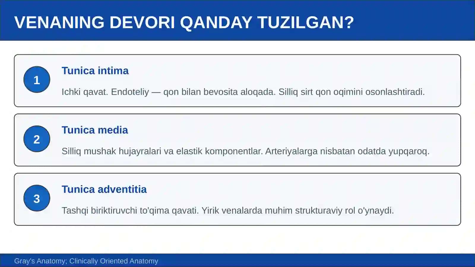 VENA TIZIMINING FUNKSIONAL VA YOSHGA OID ANATOMIYASI 3
