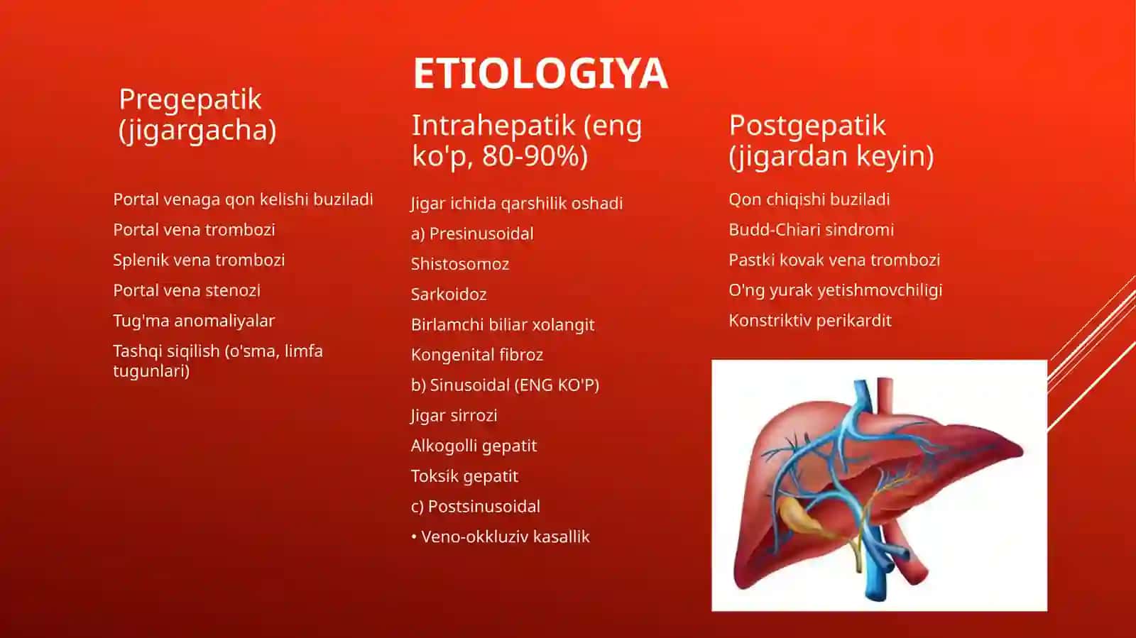 Portal Gipertenziya 3