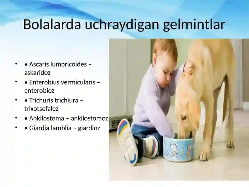 Gelmintozlar profilaktikasi 3