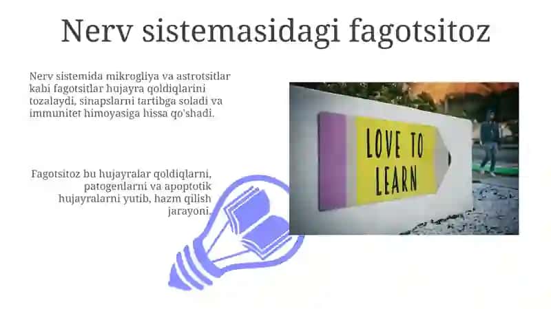 Fagotsit 3
