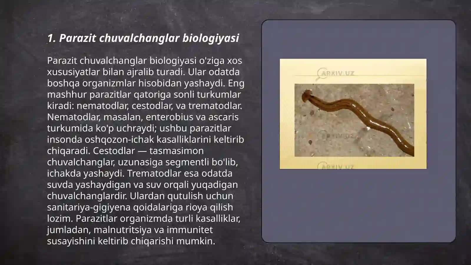 Parazit chuvalchanglar biologiyasi 3