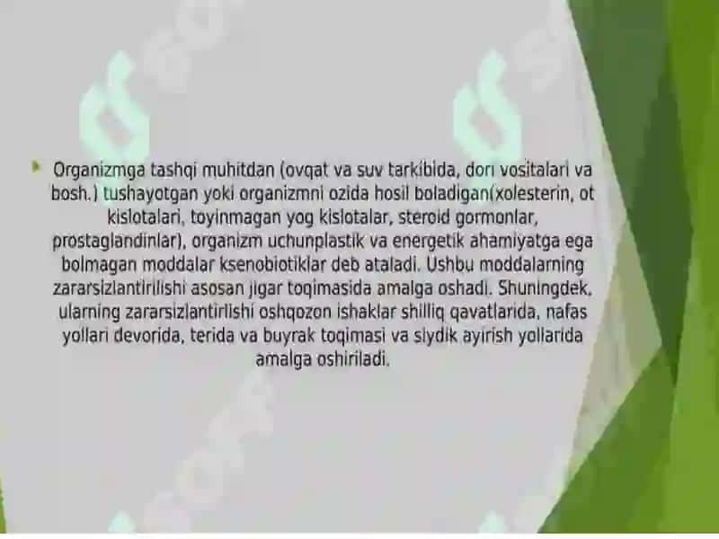 Biosfera va uning hozirgi muammolari 3
