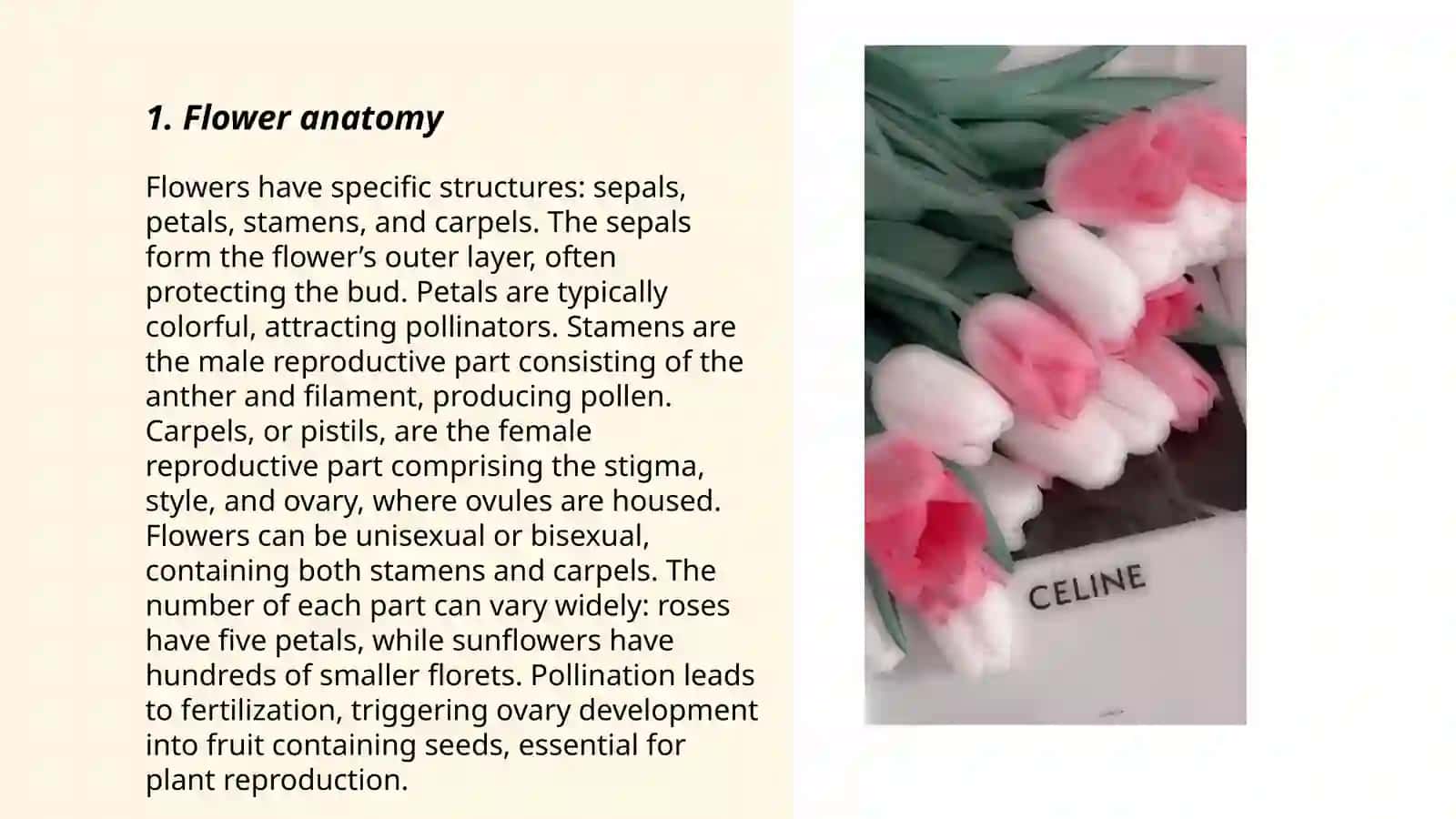 Flowers: Structure and Function 3