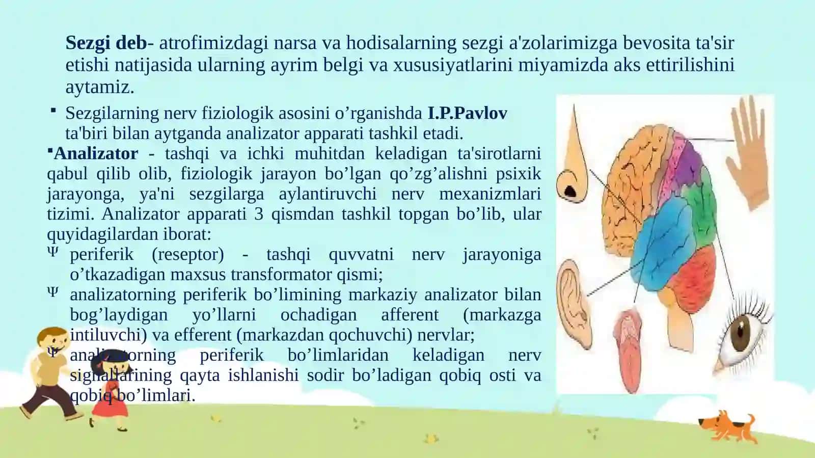 Sezgilar. Bolalarda sezgilarning rivojlanishi 3