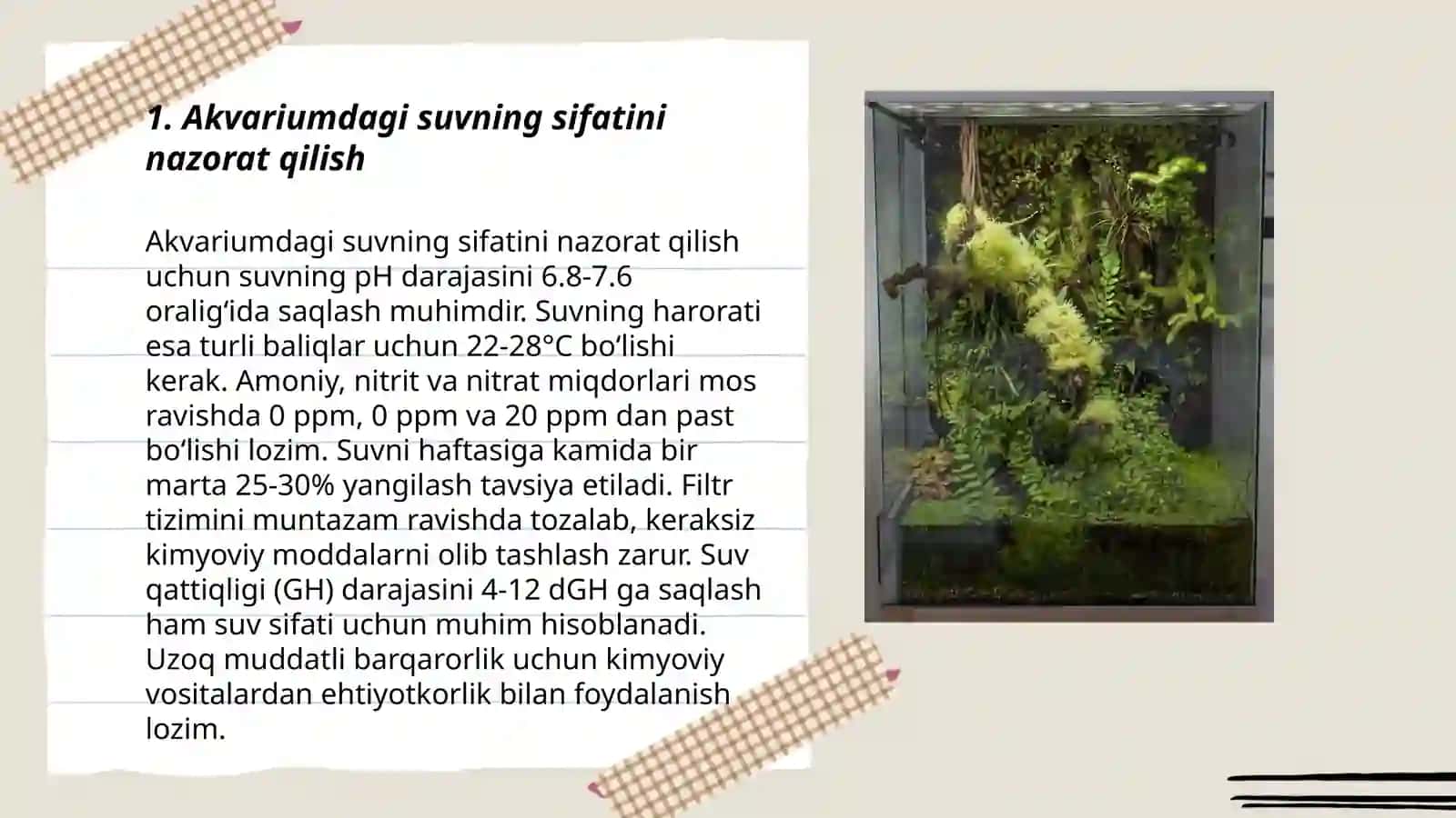 Akvarium va terrariumda yashovchilarni parvarishlashning shart sharoitini oʻrganish 3