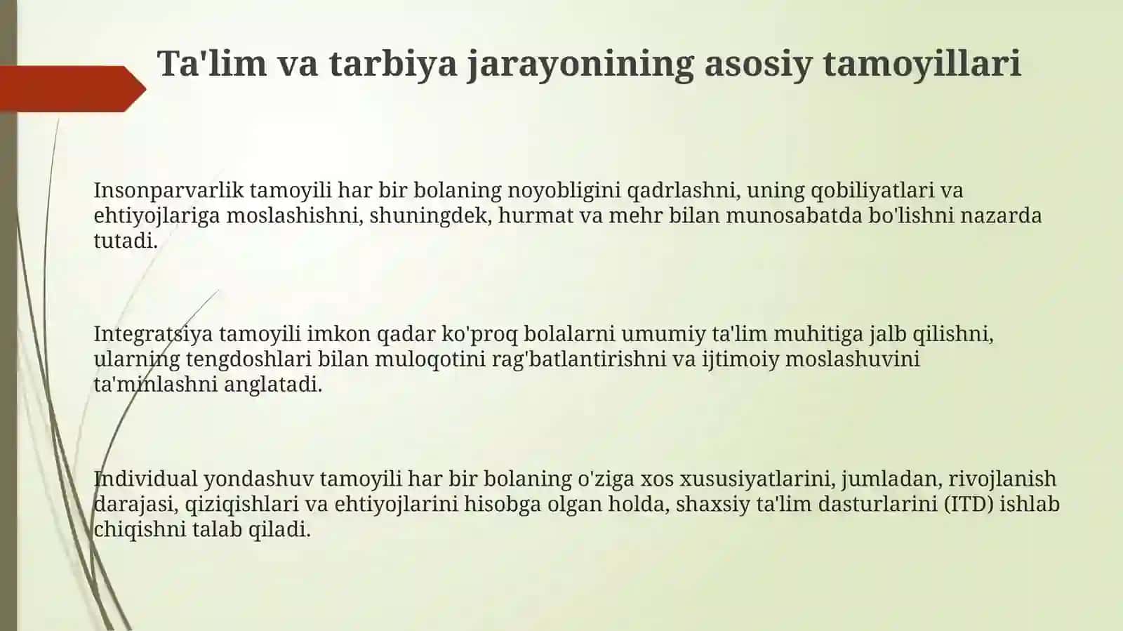 Intellektual nuqsoni bo'lgan bolalar uchun ta'limni tashkil etishning asosiy tamoyillari 3