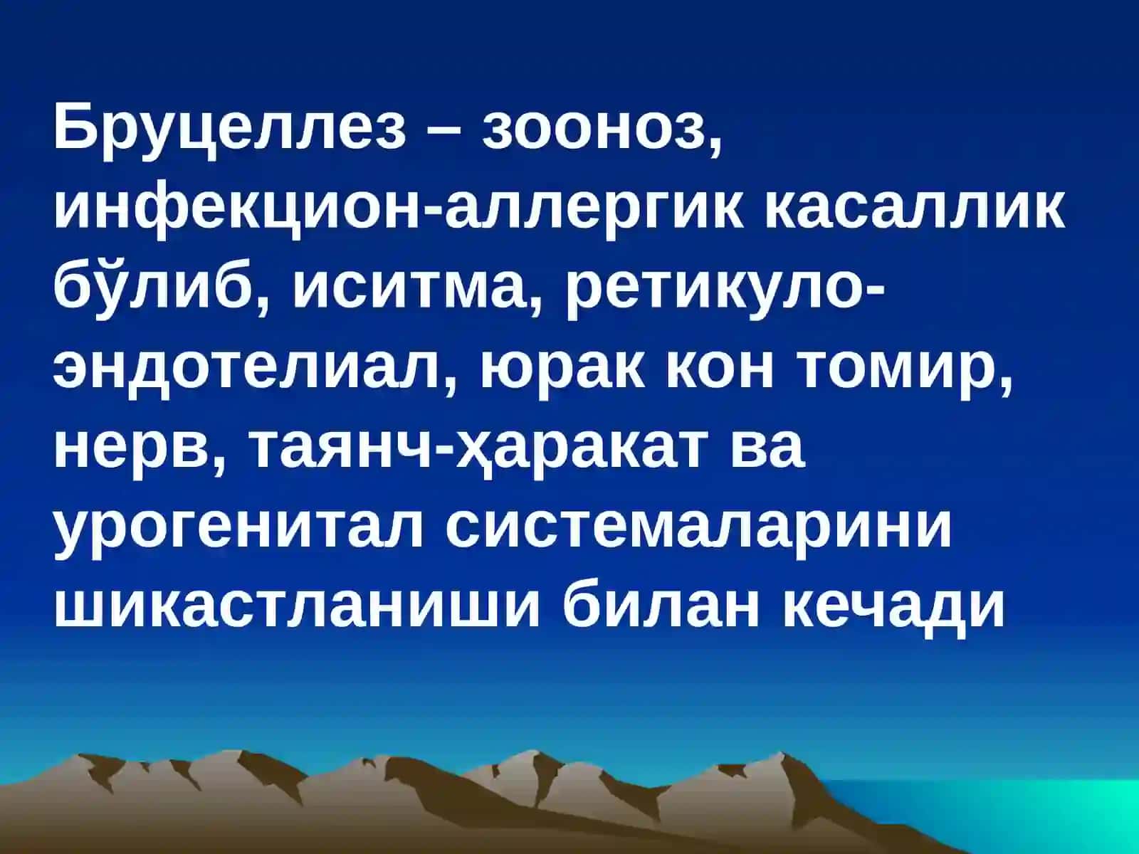 БРУЦЕЛЛЁЗ 3