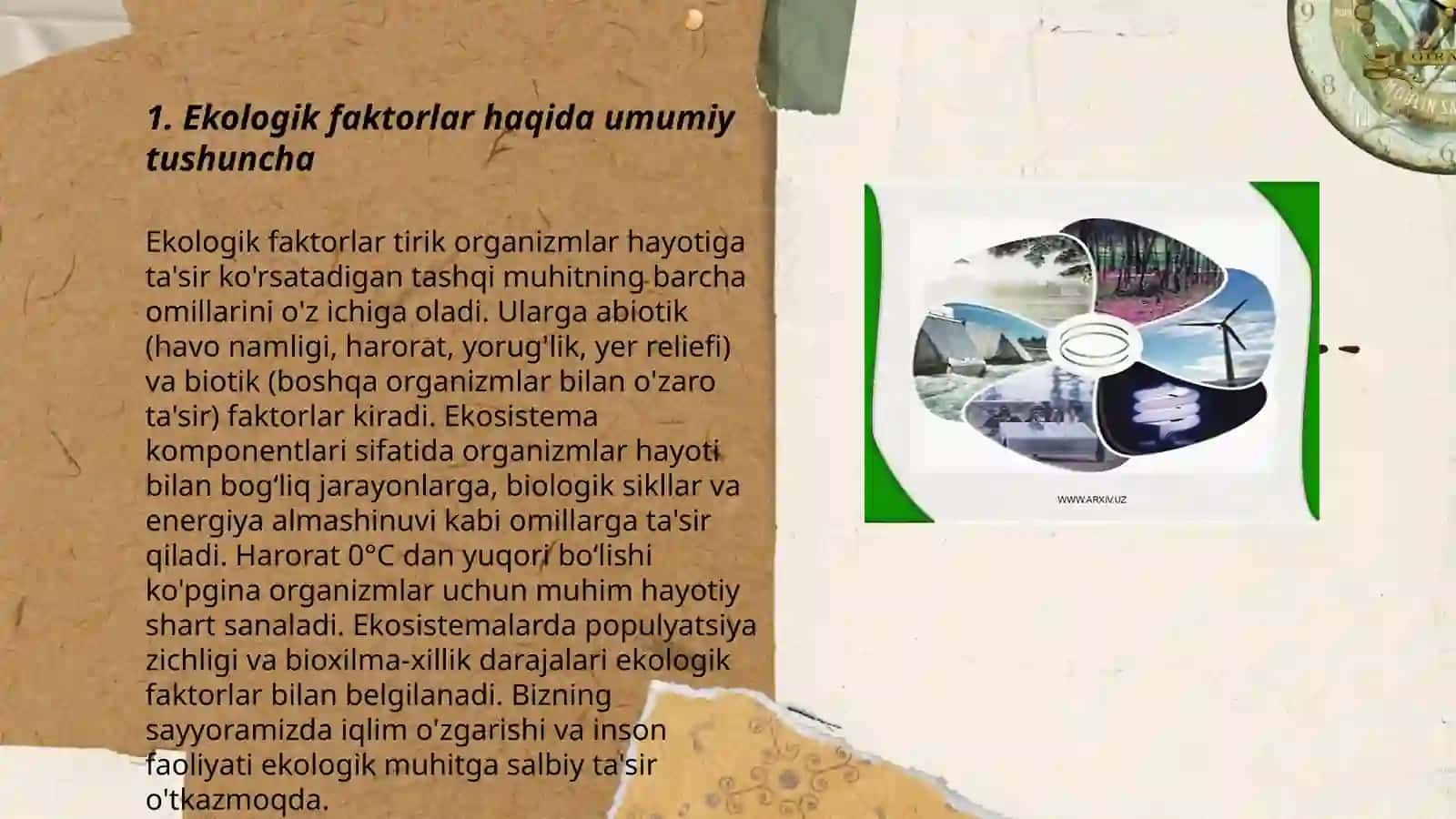 Ekologik faktorlar. Abiotik va Biotik faktorlar haqida tushuncha 3