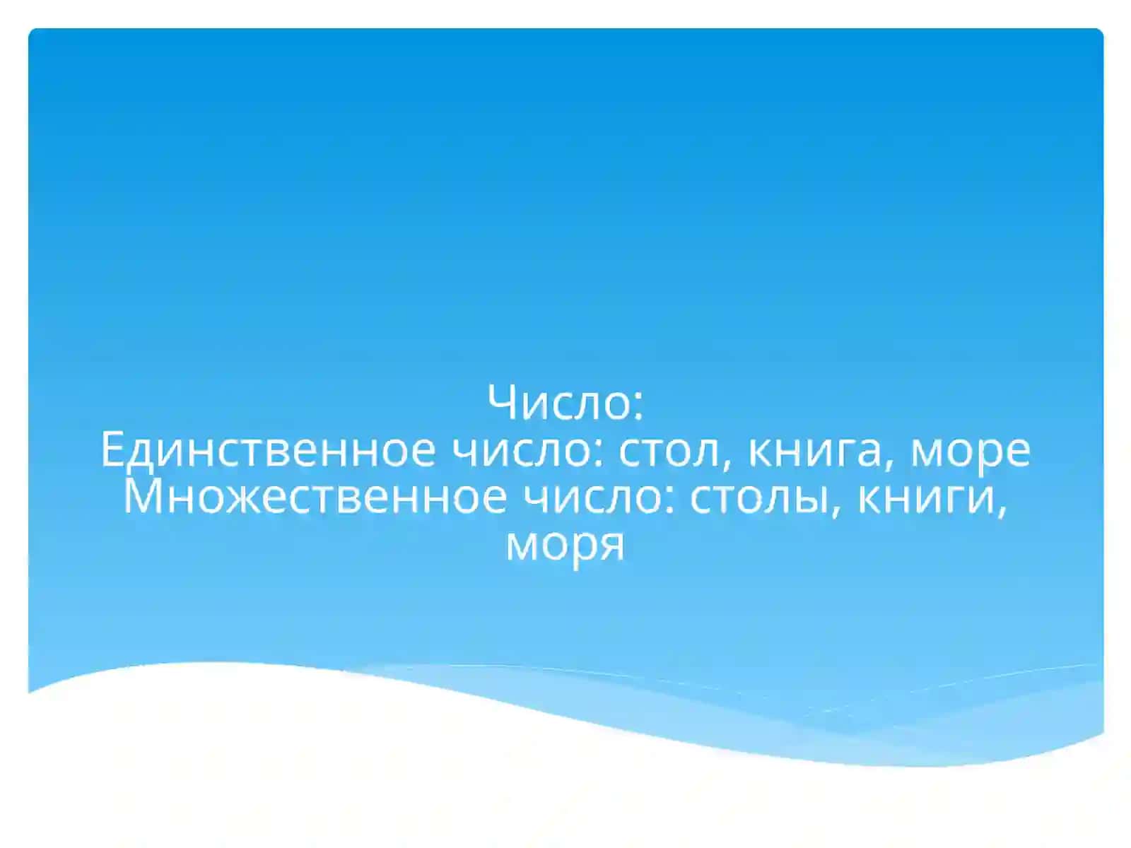 Склонение имён существительных в русском языке 3