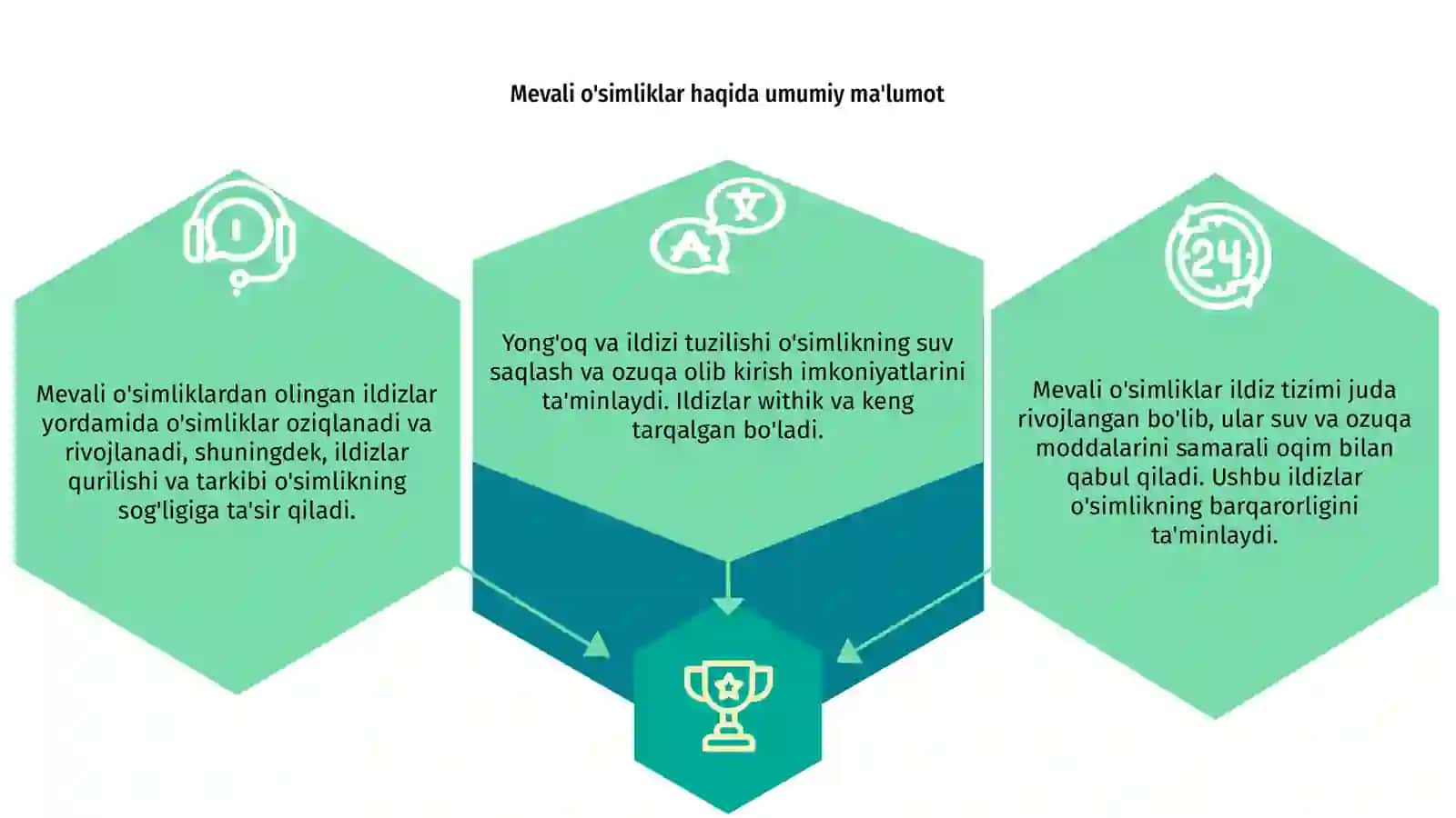Mevali o'simliklardan yong' oqni ildizini tuzilishi 3