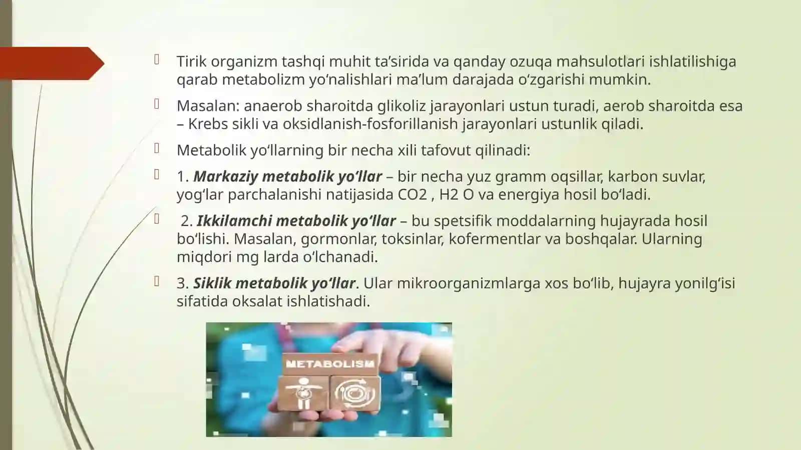 ANABOLITIK VA KATABOLITIK JARAYONLARNI ONTOGENEZDA O’ZGARIB BORISHI 3