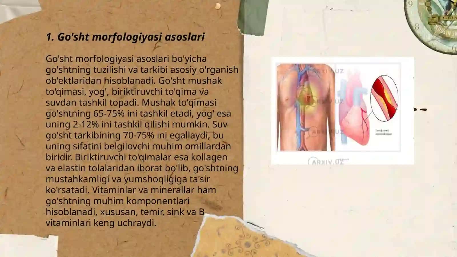 Go'shtni morfologiyasi, kimyoviy tarkibi va laboratoriyada tekshirish usullarini o'qitishda zamonaviy metodlar 3