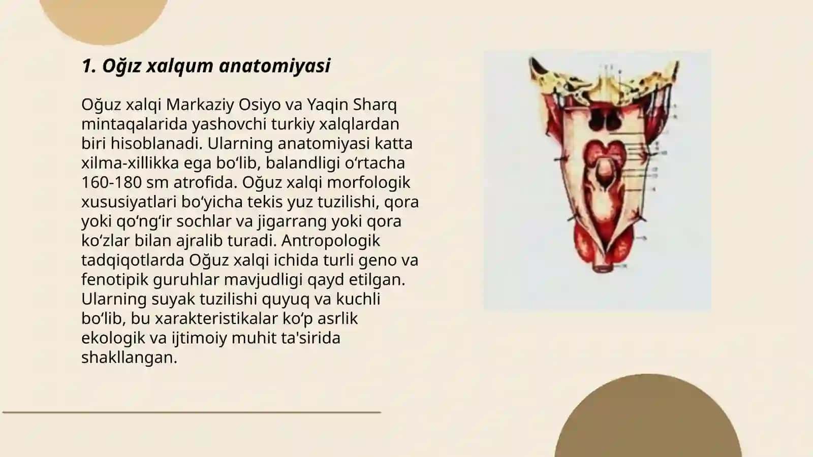 Xazm sistemasi oğiz xalqum qizilõngach 3