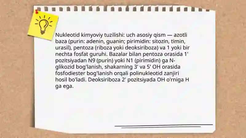 Nuklein kislotalarning tuzilishi 3