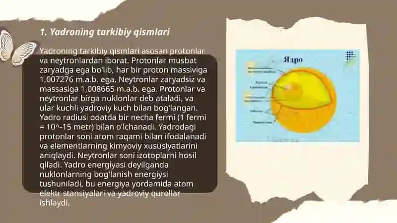 Yadroning tarkibiy qismlari,ultrastrukturaviy tuzilishi,tarkibi,xossalari,vazifalari 3