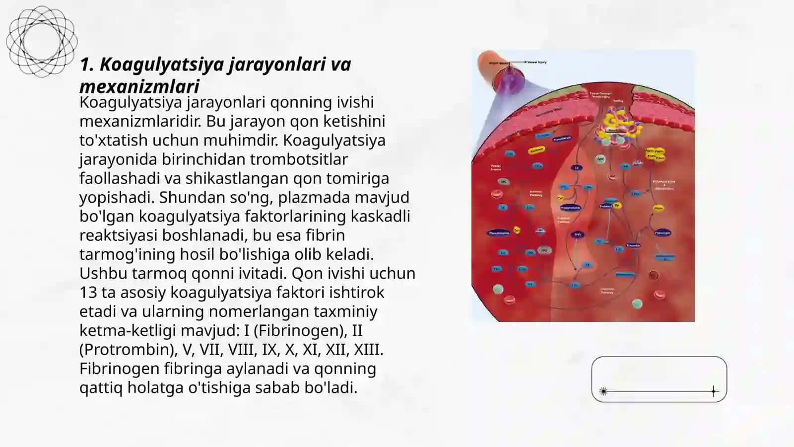 Sinamali koagulyatsiya tizimini tuzish 3