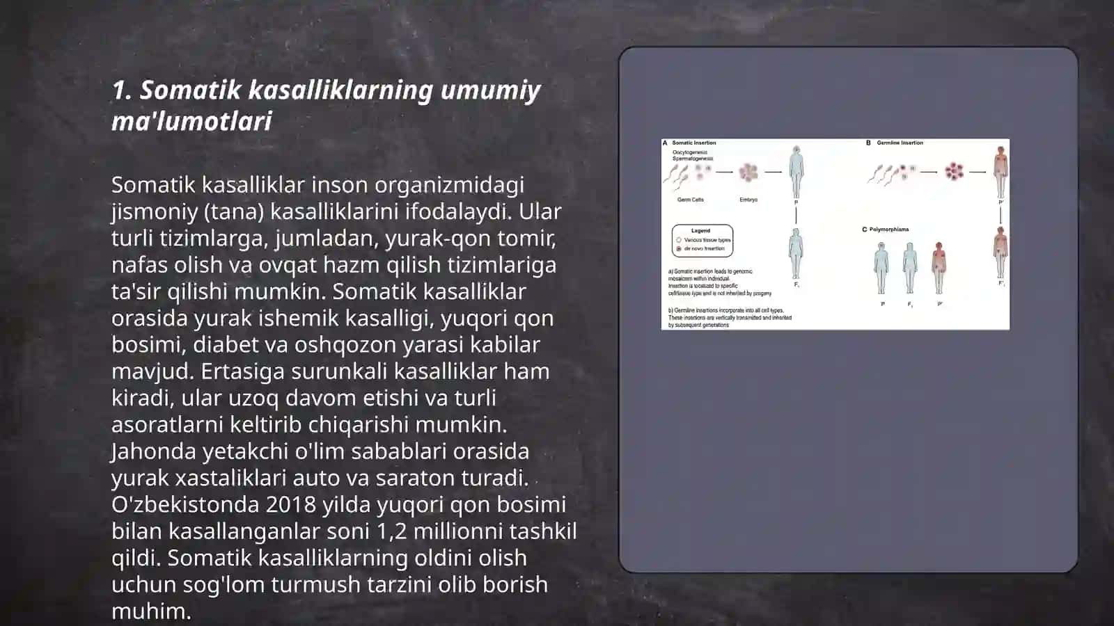 Somatik kasalliklar 3