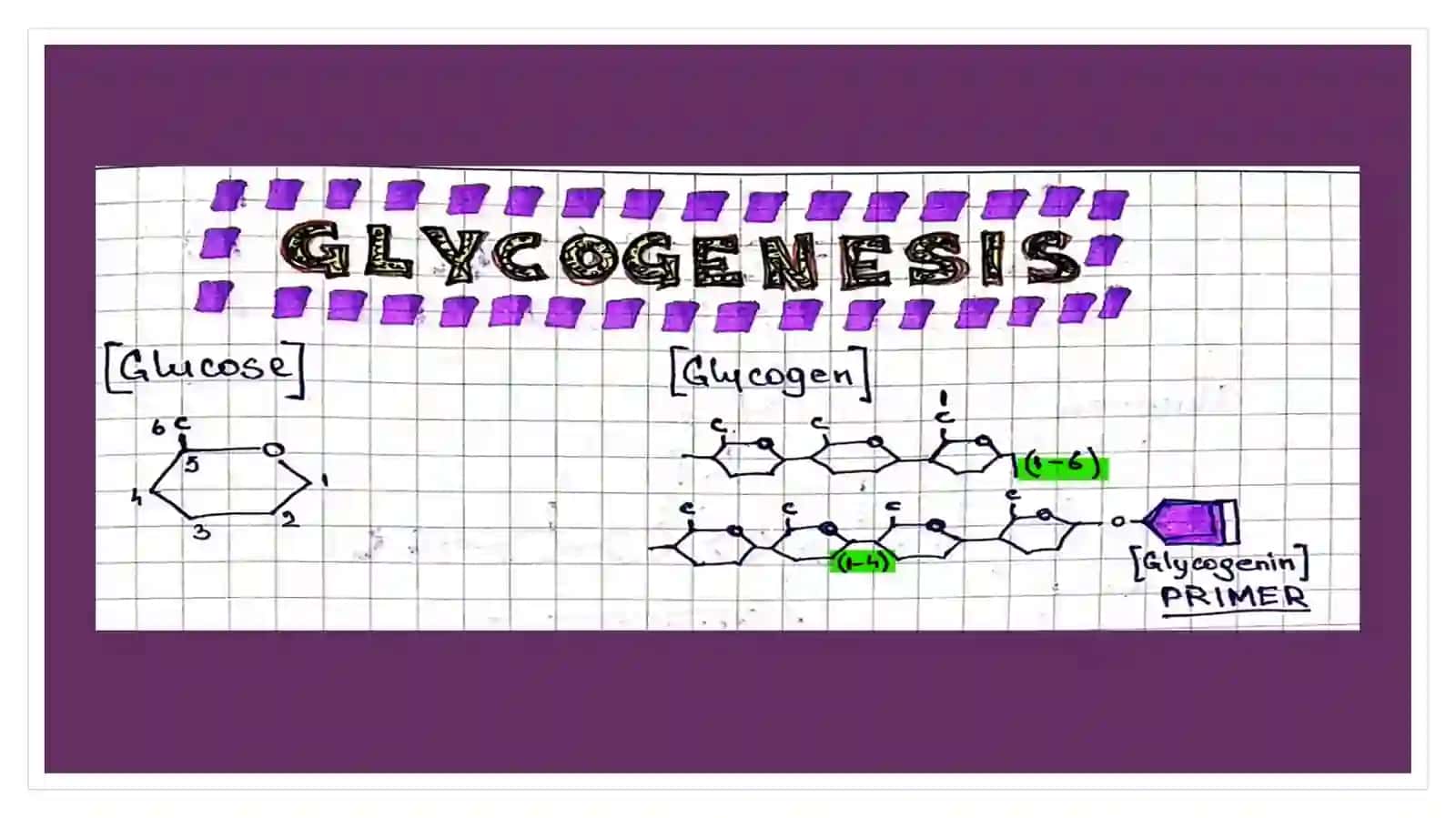 Glyukoza metobolizmi biokimyosi 3