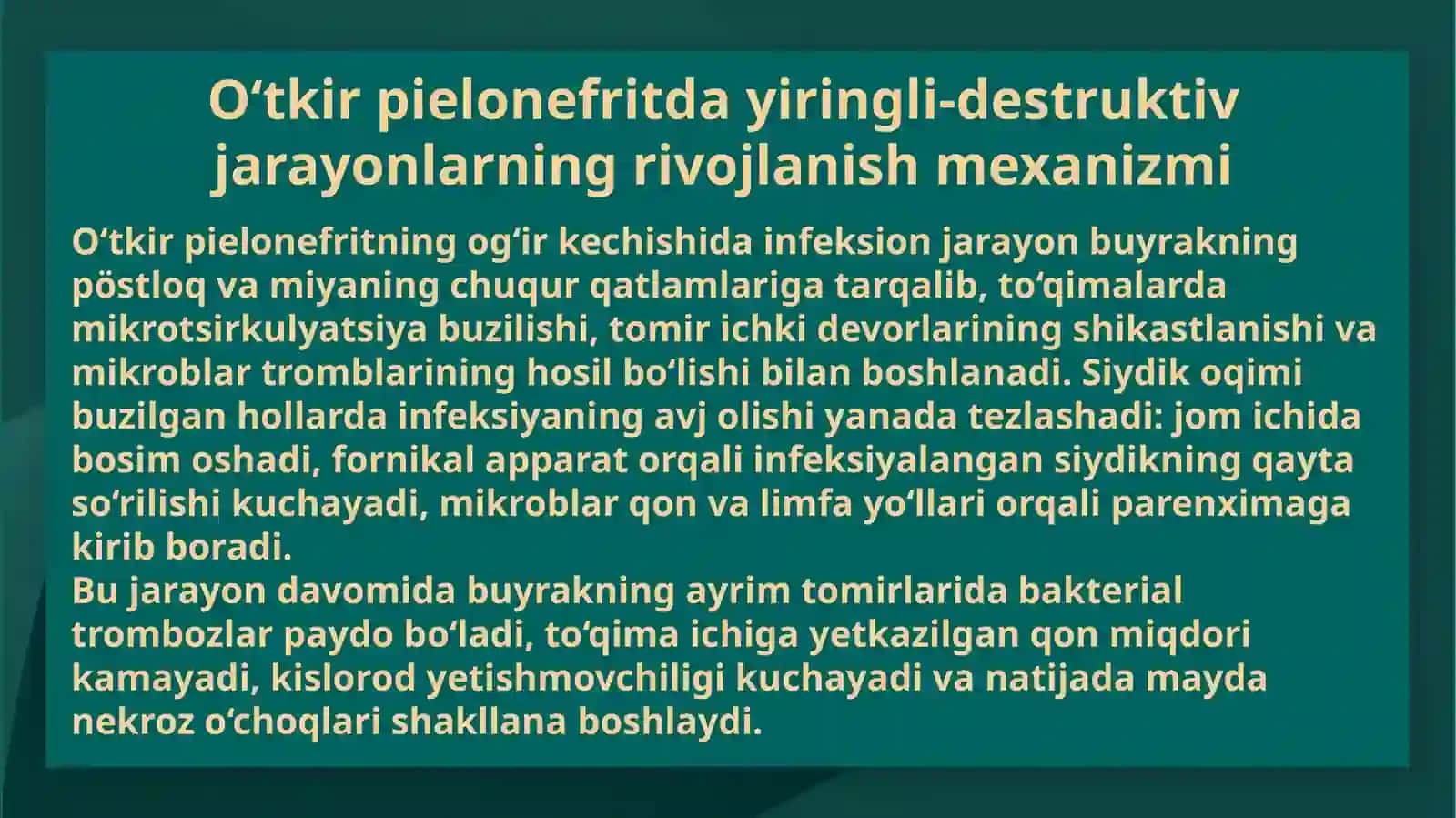 O‘tkir pielonefrit asoratlari 3