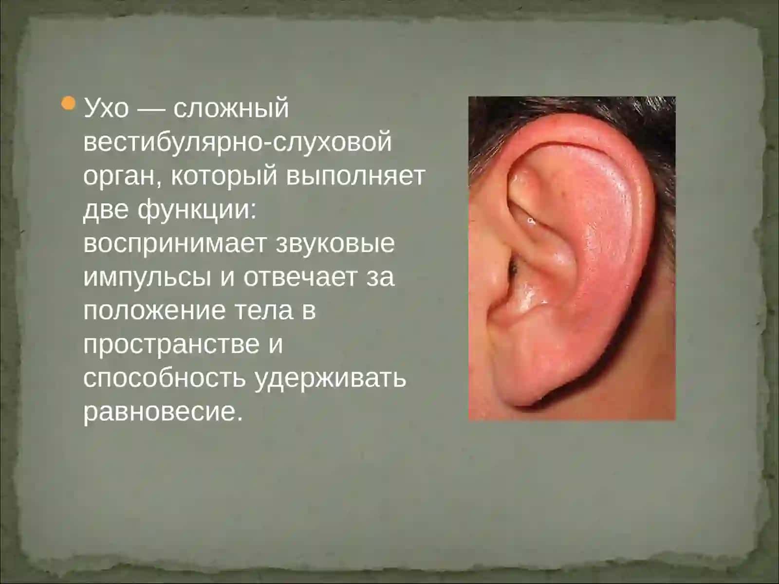 Механизм генерации звука 3