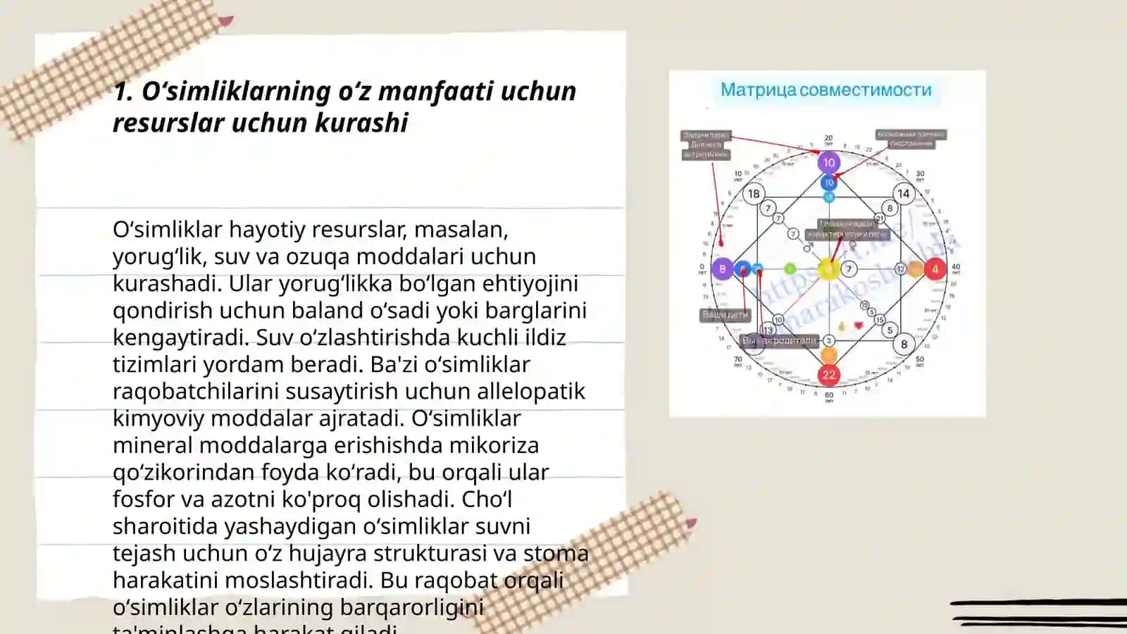 Oʻsimliklarning oʻz manfaati uchun resurslar uchun kurashi 3