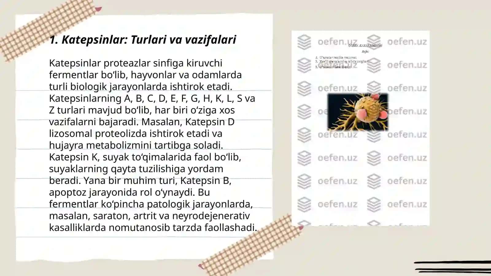 Katepsinlar ularning klinik ahamiyati. Neytromediyatorlar biosintezi,ahamiyati va kasalliklari. Folat kislotaning yetishmovchiligi,Sulfanilamid preparatlarning bakteriostatik ta’sir mexanizmi 3