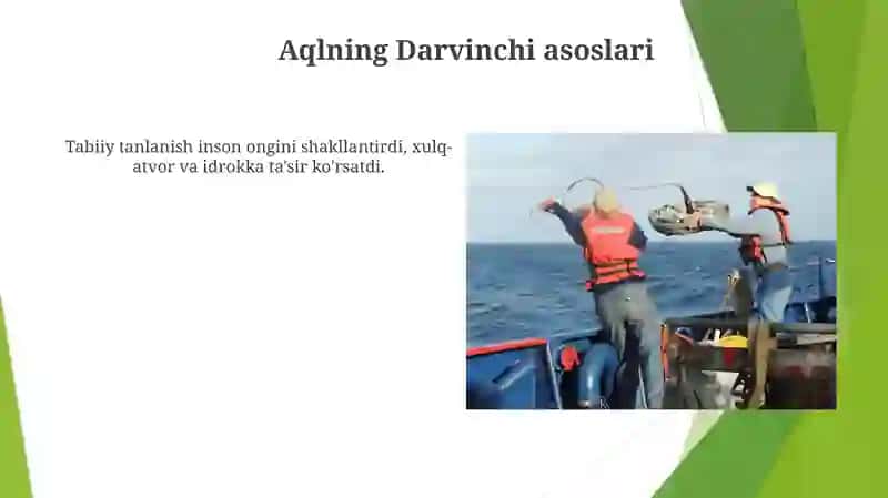 Psixikaning filogenetik taraqqiyoti 3