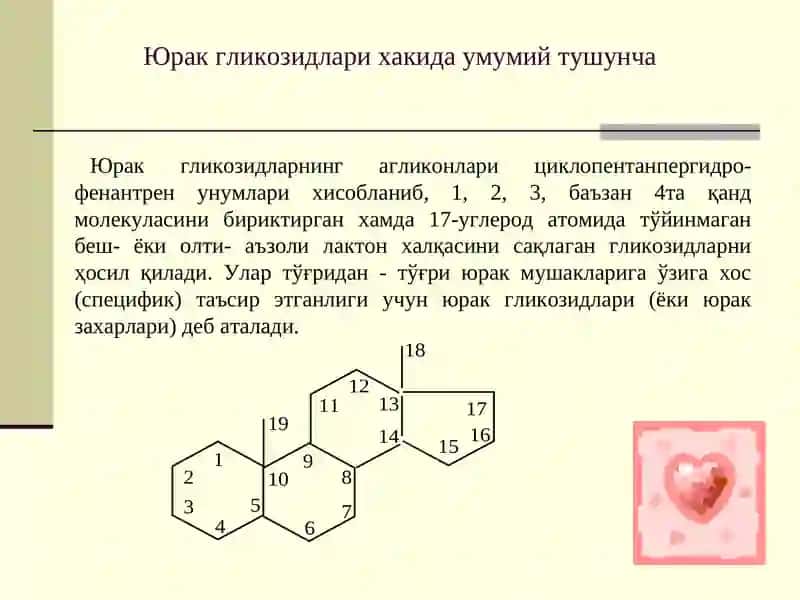 Юрак гликозидлари сақловчи дориворўсимликларва махсулотлар 3