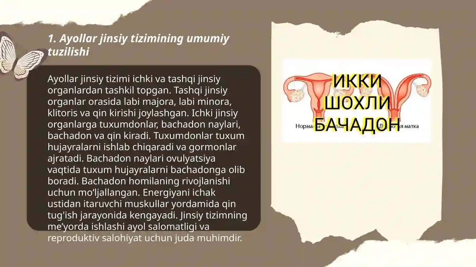 Ayollar jinsiy azolari anatomiyasi va fiziologiyasi 3