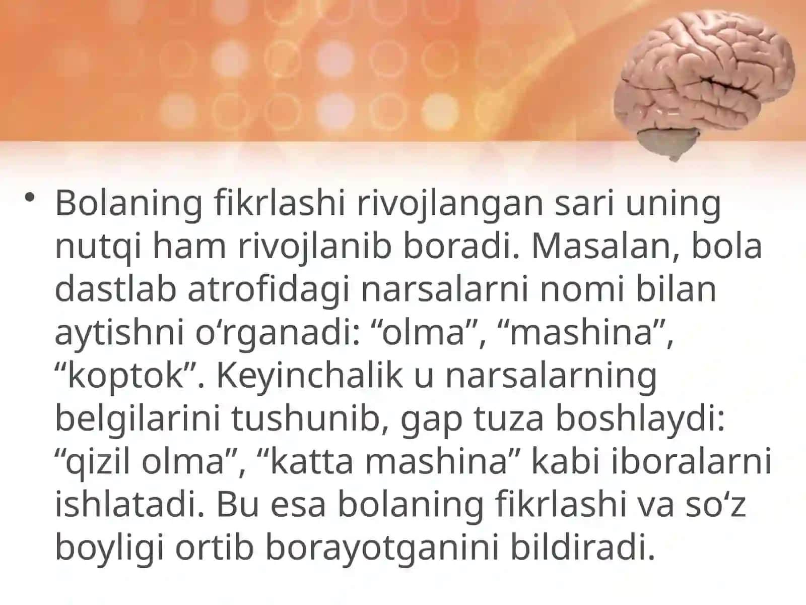 Fikrlash va tilning rivojlanishdagi bog'liqligi 3