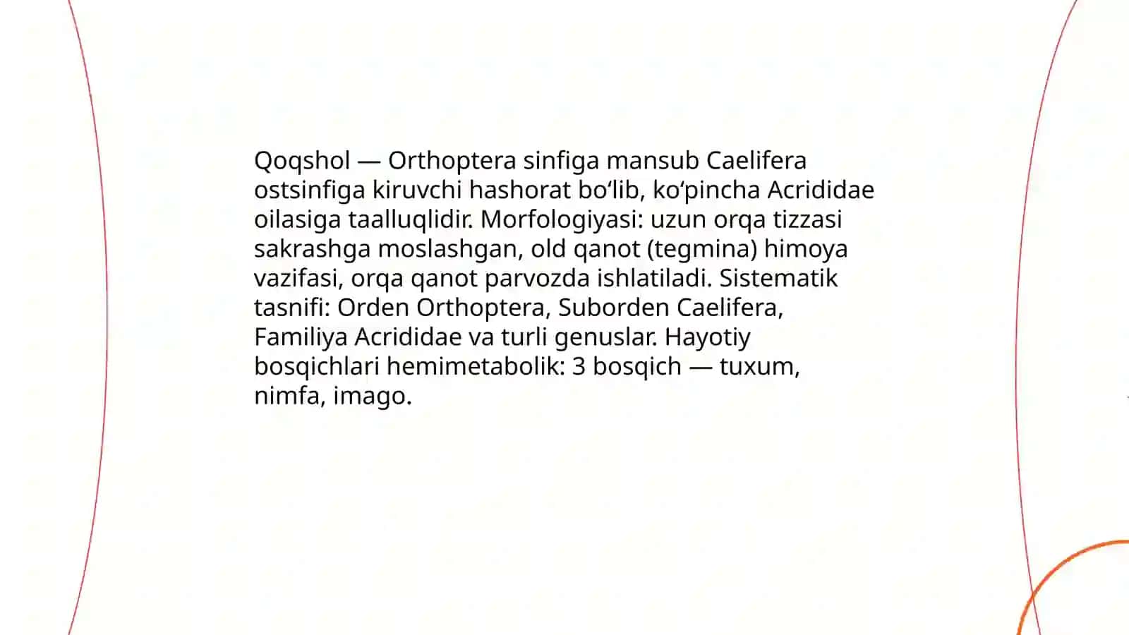 Qoqshol 3