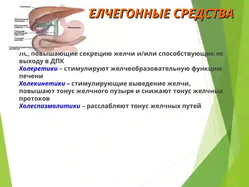 Желчегонные средства 3