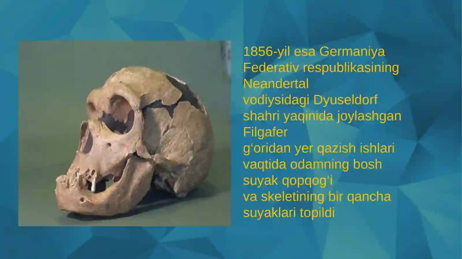 Neandertal 3