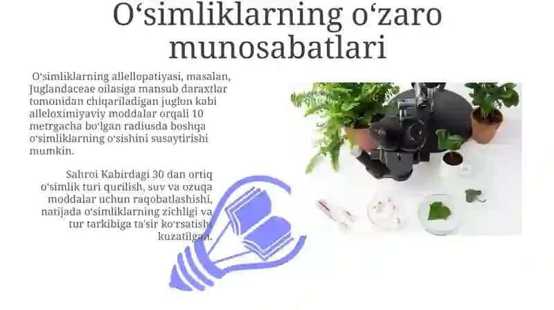 O'simliklar ekologiyasi asoslari 3