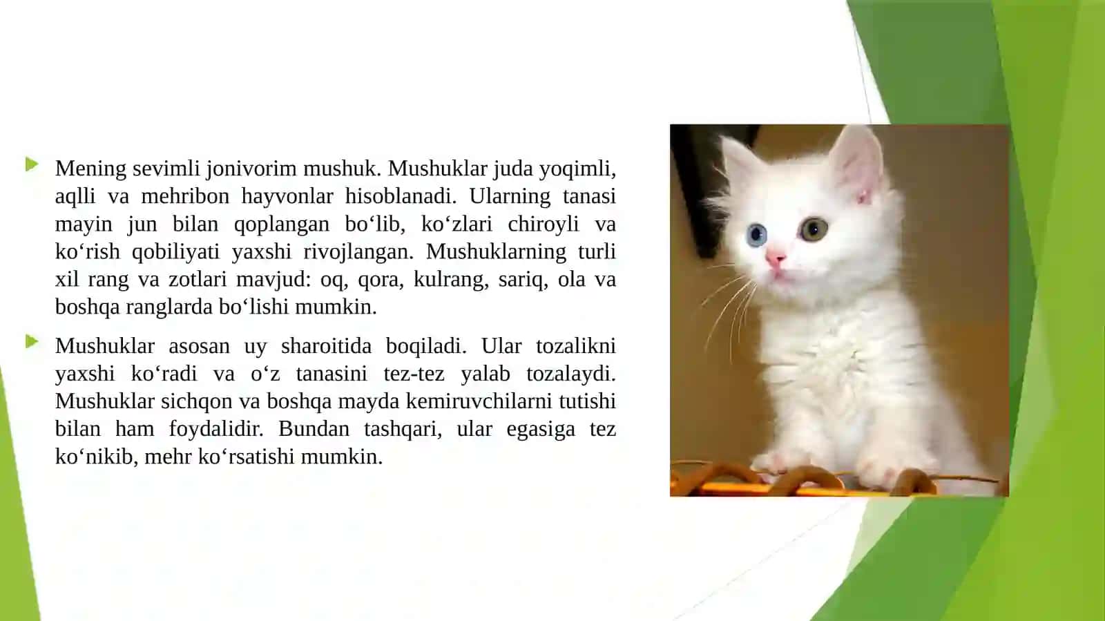 Mening sevimli jonvorim mushuk 3