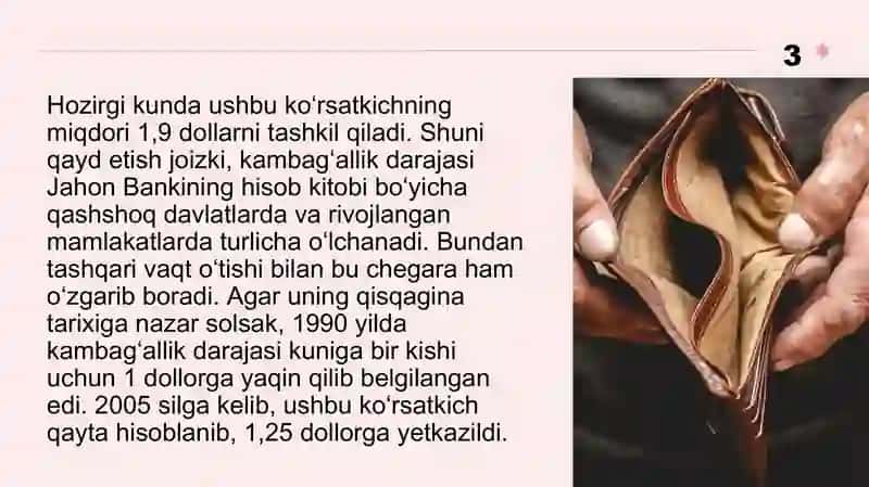Kambag`alikni qisqartirish bo`yicha xorij tajribasi 3