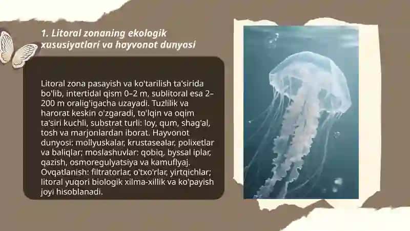 Dunyo okeanining litoral va pelagial faunistik oblastlari hayvonlari va ularning o'ziga xos xususiyatlari 3
