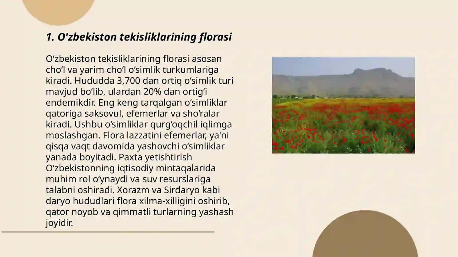 O'zbekistonning tekislik qismi o’simliklari va ularni muhofaza qilish 3